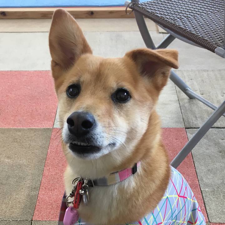 450fad6d 9dd0 4717 81ec 3aab4416b5dc 1557057674005