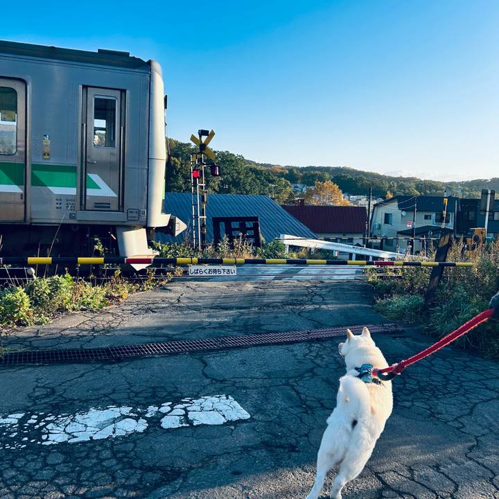 450fb5e1 02b7 4f37 8d46 001353107963 1729809215066