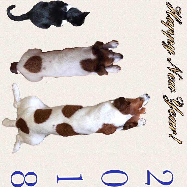 450fb8ba 589f 45b8 8857 4e1ce7f88707 1514849217074