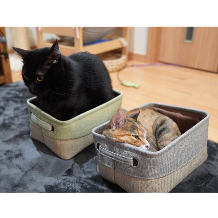 450fdd3c 09bb 427f ba75 09f9f118037f 1584105475492