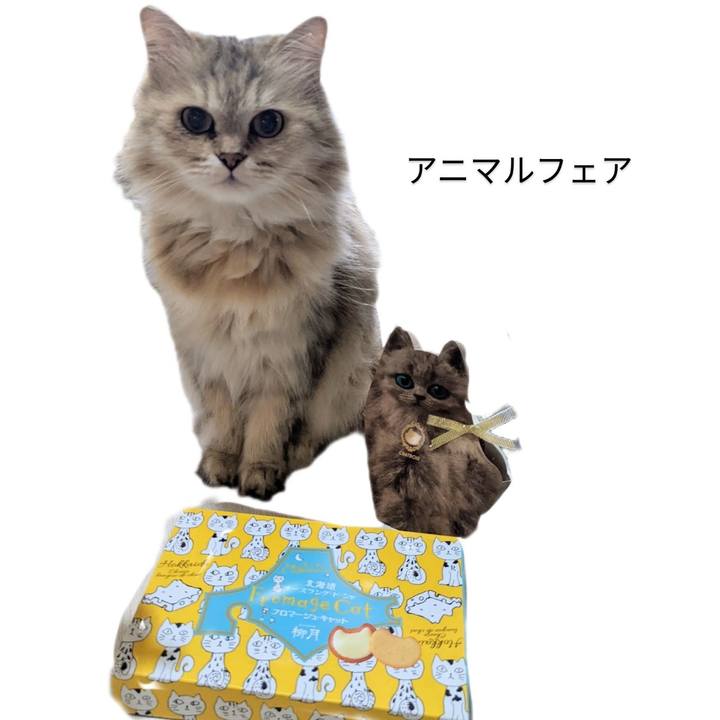 45104753 37d0 49a7 af81 ea095314981e 1658458338949