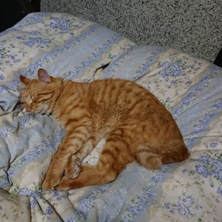 45106fe3 5250 4373 a2ca 507e5b4e9746 1663329577553