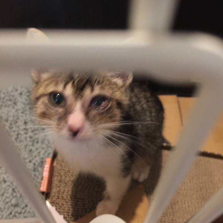 4510c838 5ead 4f3b 8f64 3712cdf54fe0 1534050069276