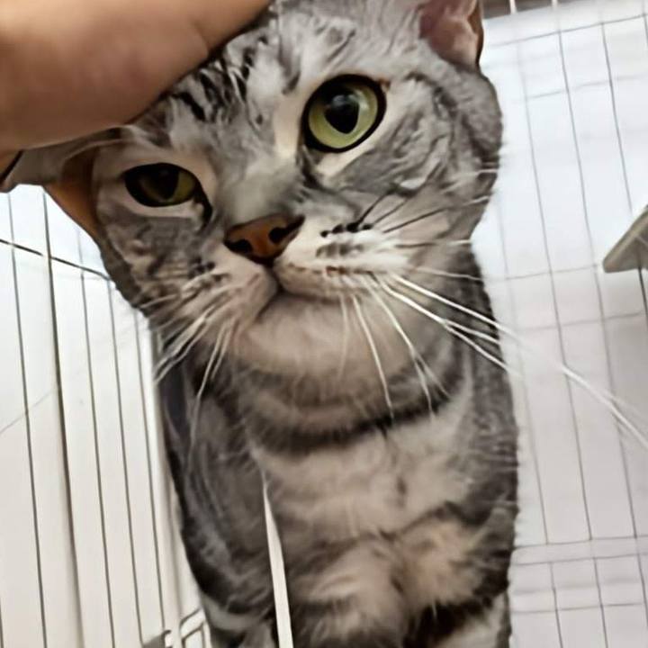 4510e51a b96b 4d15 ba4d c4581b07d295 1724153748781