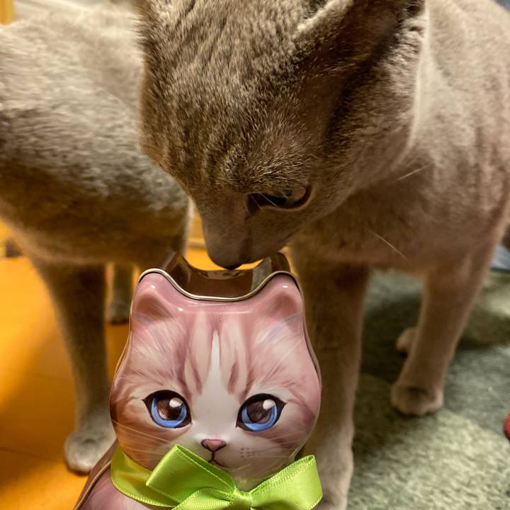 45111bf9 e2d4 4799 8ea9 627c7d5d1f4c 1644848293523