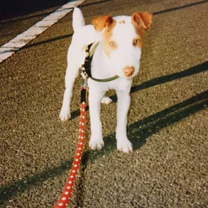 45111db1 01bd 4921 879c bf95f36a3d75 1541723631661