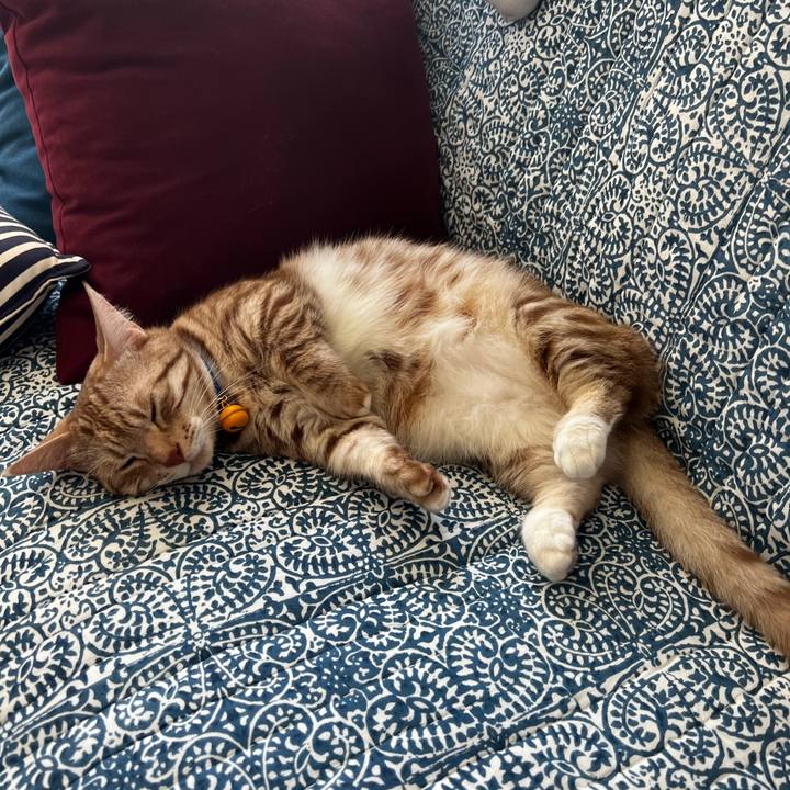 45112f06 798e 4c02 8b2d a2abe9b99a16 1692761556282