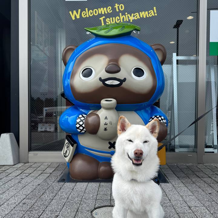 451140a7 c120 4174 8b29 57baddfa80f5 1758762113502