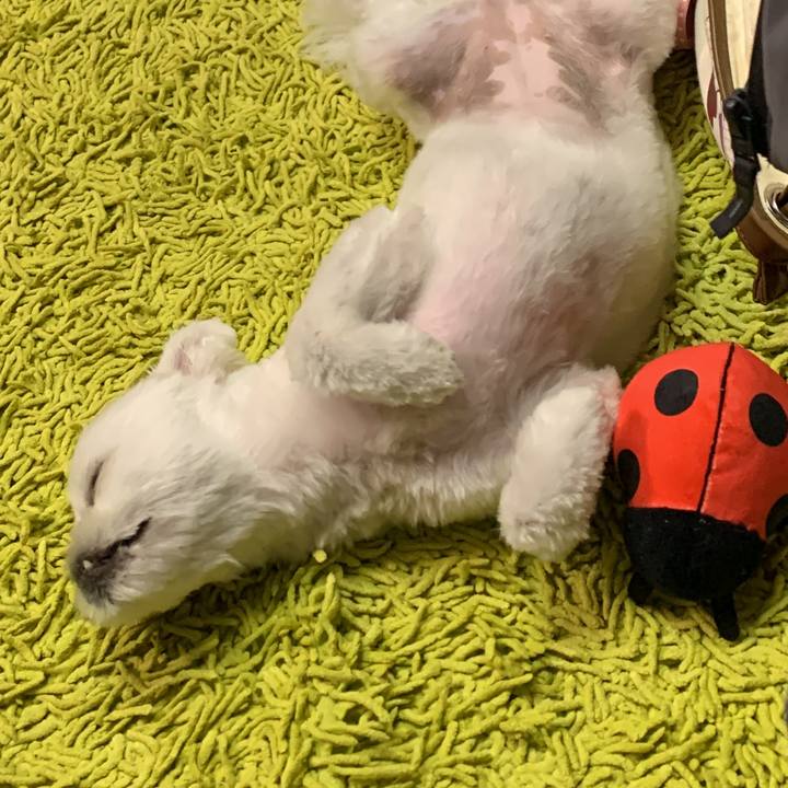 4511411b fc35 4271 8d04 a1c678e71dc6 1660832087216