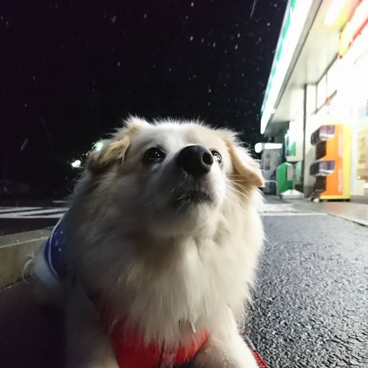 451152fc 6914 4348 9eaa 0d6942c27e8e 1513024854515