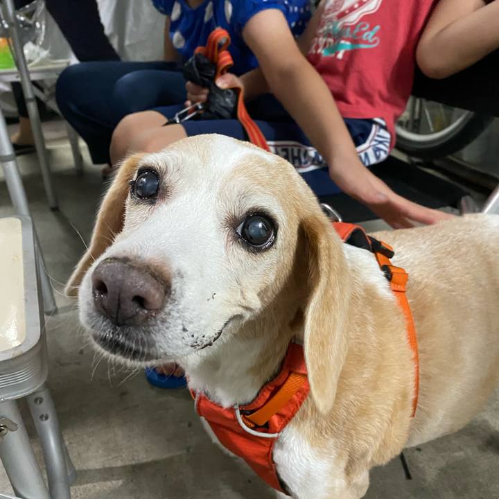 45116d2a 6e12 4371 b87f ef7fc430f4a6 1629677058495