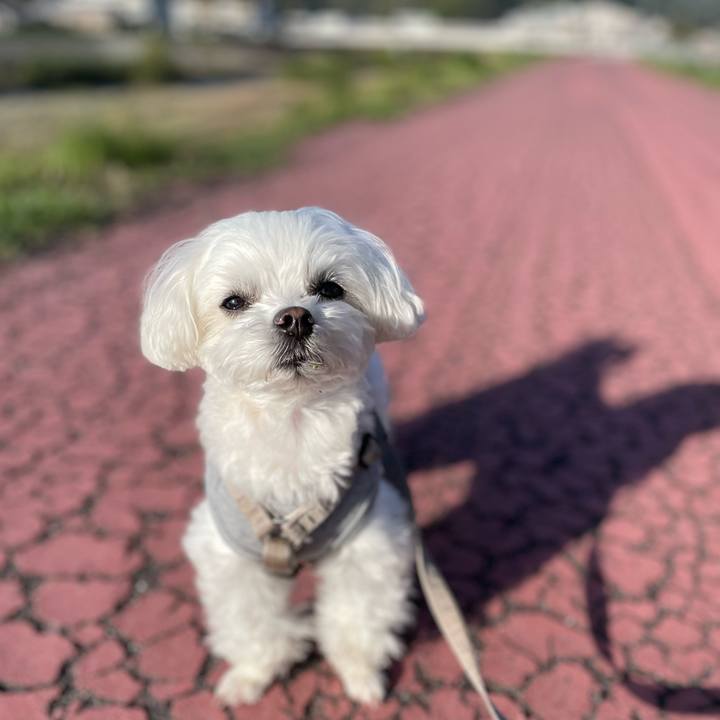 4511b155 25c0 4cb4 8e3c 5d2d6986a333 1775801006820