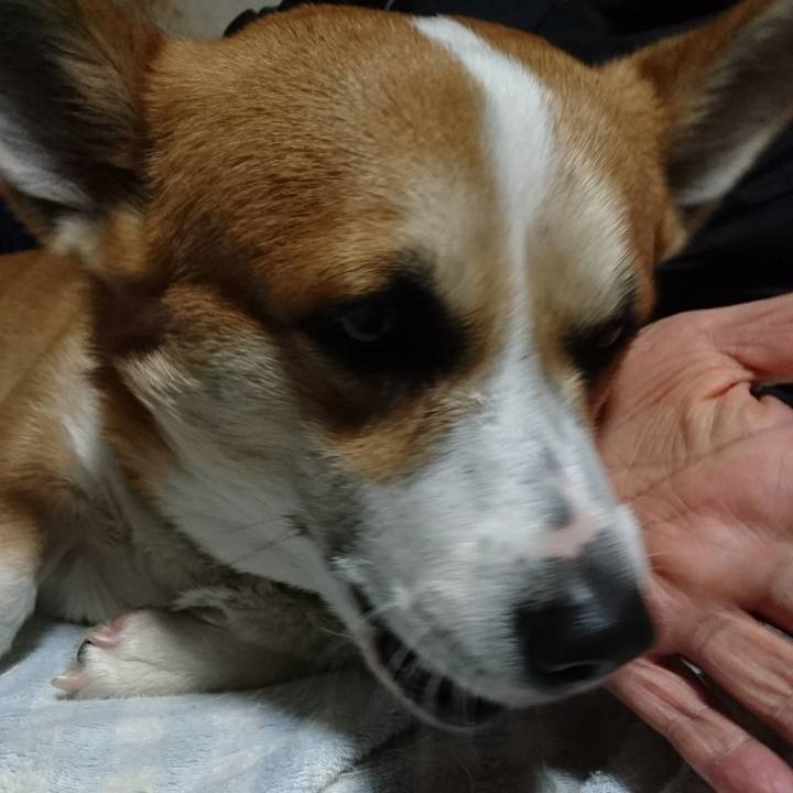 4511c857 f38d 4c1d 8f50 5be551039bfa 1612003472328