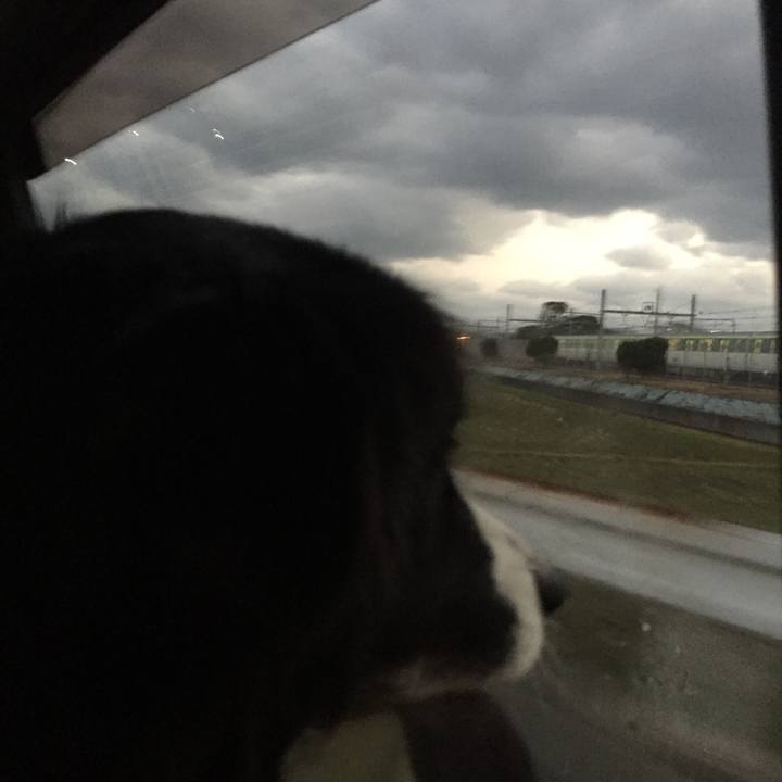 4511cc3d 7d84 49c1 842c e9c0db0cb2bf 1548972347274