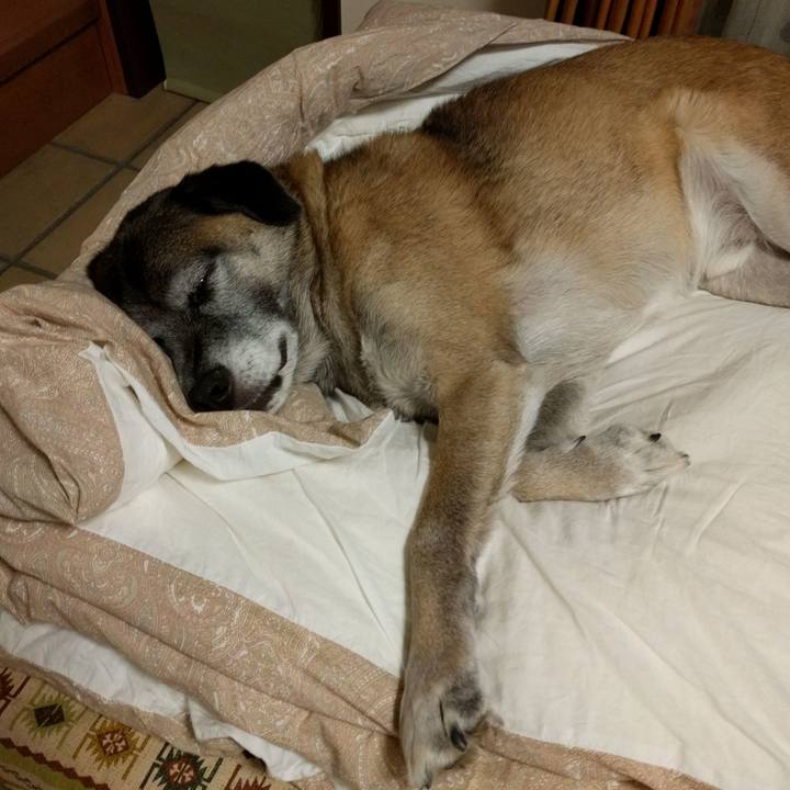 4511e6dc 5f9d 4340 8beb 0e6f13d9831d 1510924220943