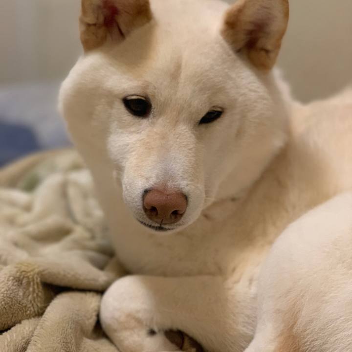 45120f43 fc9a 4fe0 9afc 8d28b5127a09 1552479262730