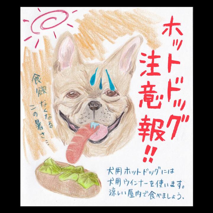 45121704 b9f0 4148 a469 a683d1974b2b 1656539811353