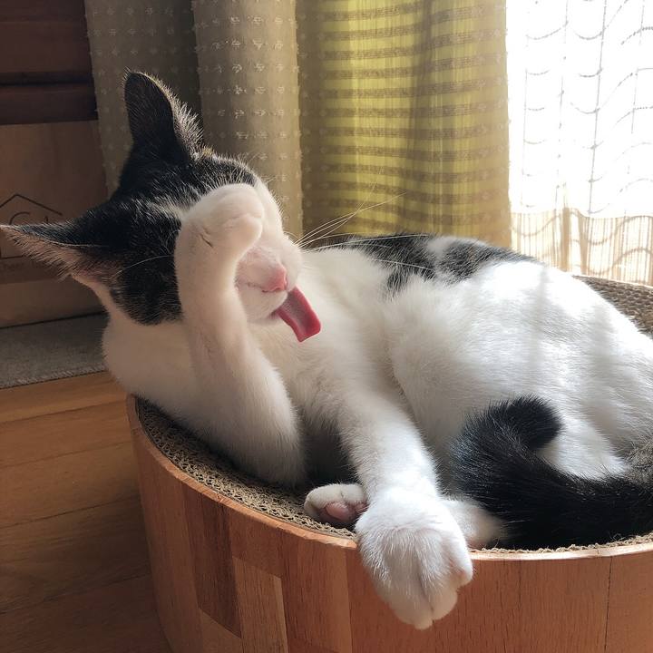 45121bb7 8027 459d 8cbd 9acd912c0c0b 1665576615804