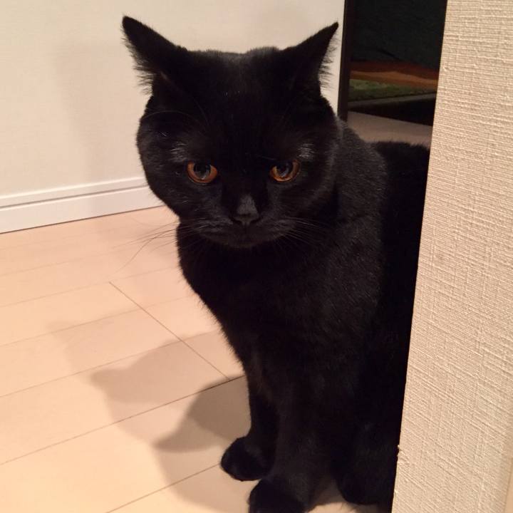 4512398b c104 4086 9ed1 bf4020fb3ace 1545568784144