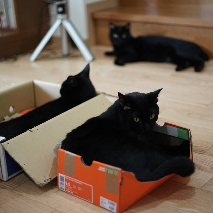 45125a28 6b69 435f ac2c 28d56866467f 1529623455230