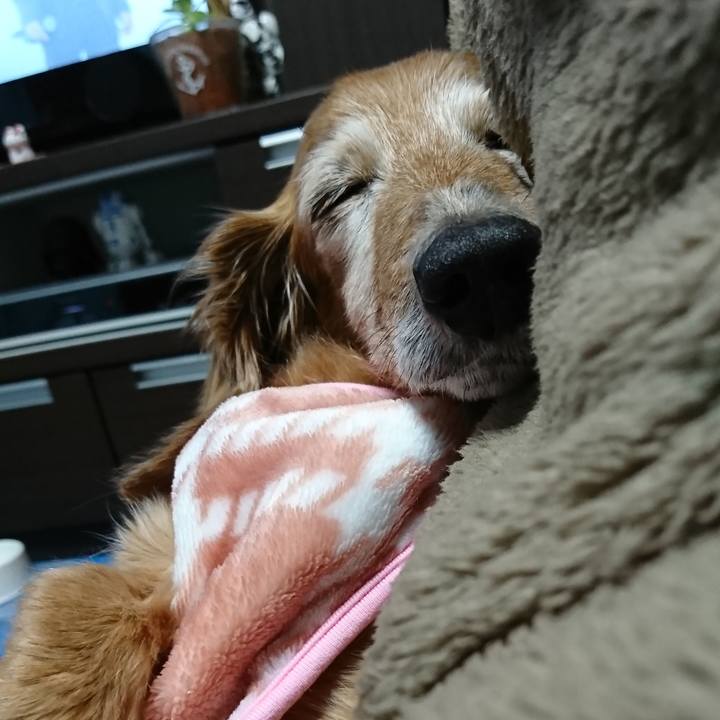 451263fa 3ffc 4a72 84cd 2e52871a9005 1578247695601