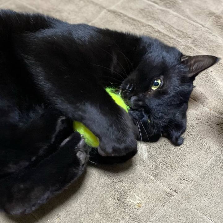 45128898 0abf 4d17 b306 a3073763fb11 1608874346689