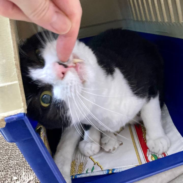 4512e3bd 5ca3 447d b64c 1fa1dc2db43f 1626078628740