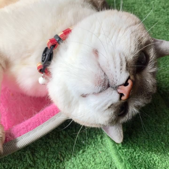 45130201 e8eb 47e6 842a 195bd92471c7 1583207674044