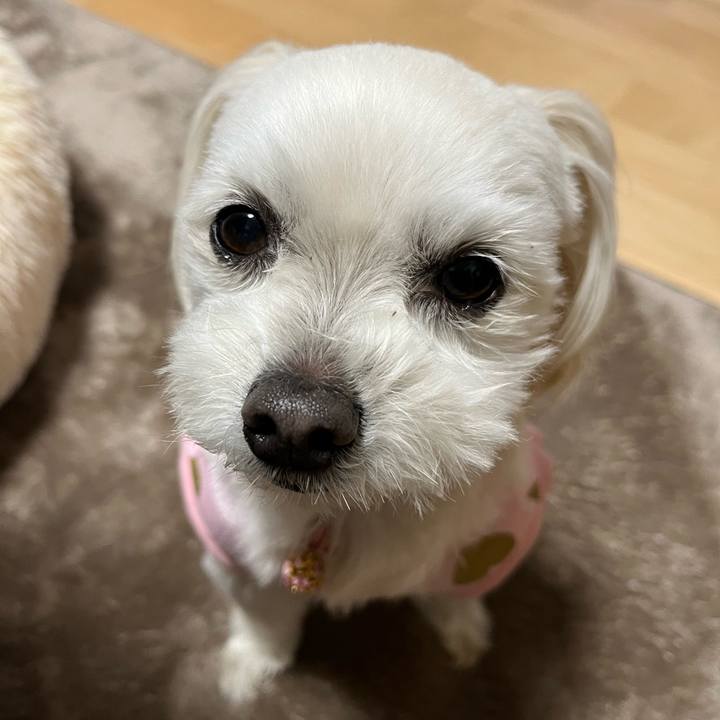 4513220b 617b 4e02 b64a a34858a13dab 1680513535868