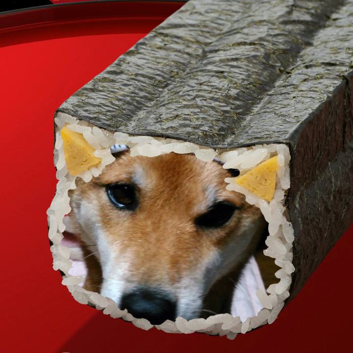 451323a4 7225 453f 99ed 68971b6c48a5 1509247747083