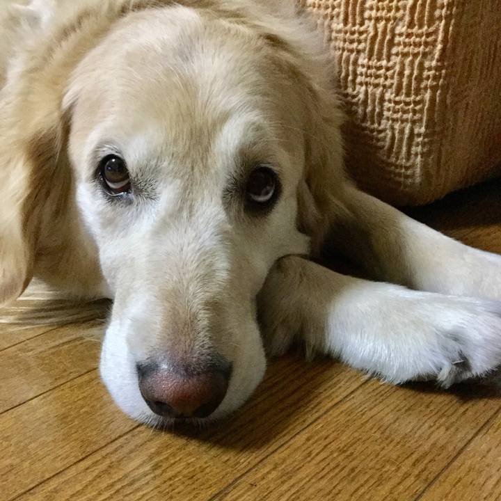 45133fd7 0ec4 4b3e bc60 a1ebb5eb7775 1556891004752