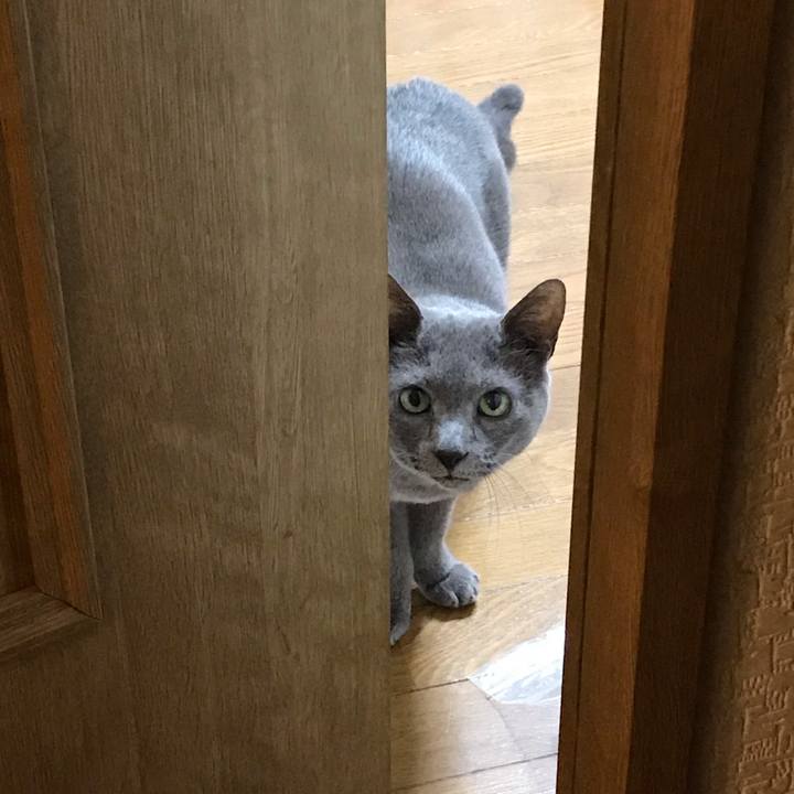 451345c3 ebfb 4fb9 9b9d d70743b69e27 1589422368115