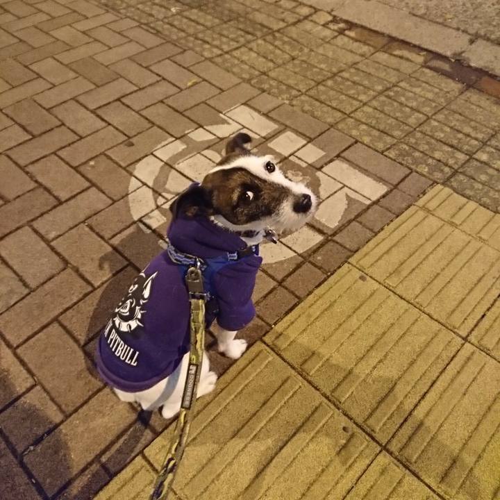 45136b55 ac1e 48d5 ad80 8ba33a8b5765 1517236067561