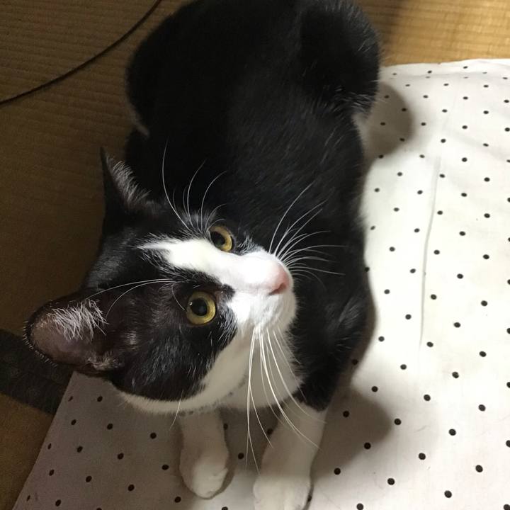 45139273 b43f 4bc9 9c0a 2471ef834d3d 1662028837347