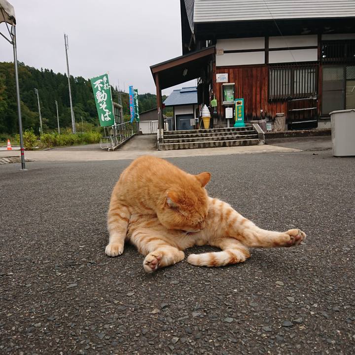 45139899 986d 4a3a a2c7 8cd9456eaae3 1602398866630