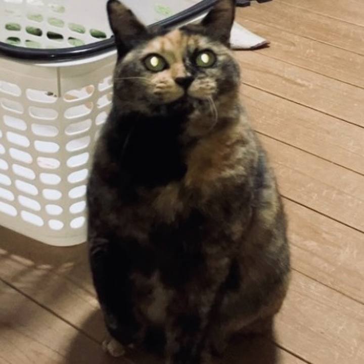 4513f01c ad2f 4713 ac06 30c2608afa06 1734292187386