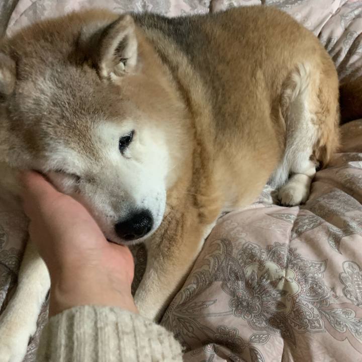 4513f080 19a8 4c5a a6bf e3c7a7167f53 1645092681308