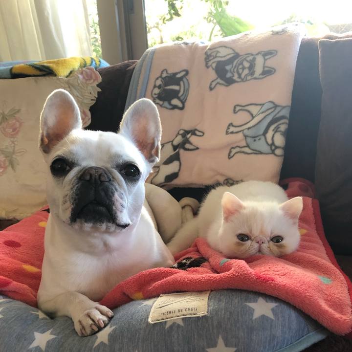 4513f2f1 7f43 4645 bde3 27df4be1feb0 1546586421227