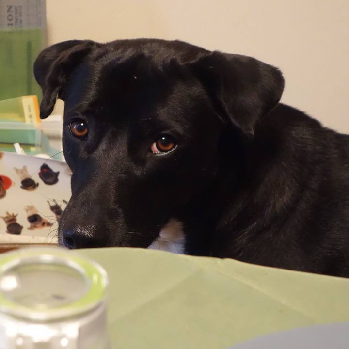 4513f6c5 5353 40bf b182 c212858eba22 1590194682536