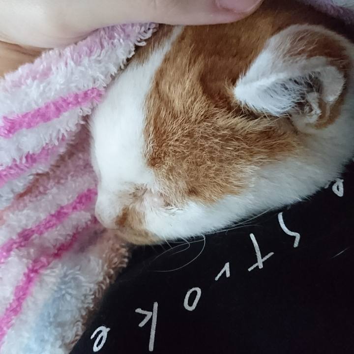 45141de4 6a23 4918 8ac0 db104f8aa946 1601123682961