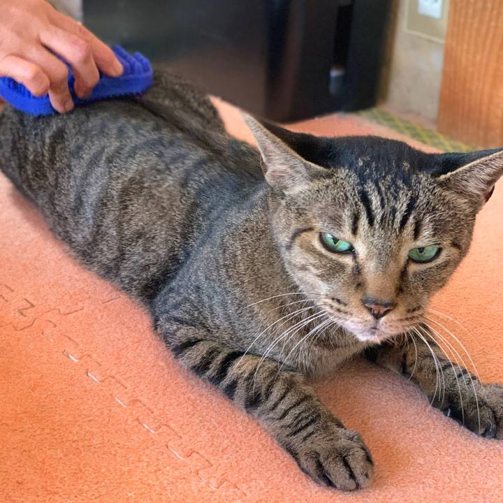 45144e3a fdeb 44c0 9657 6089027a18e8 1573349666717