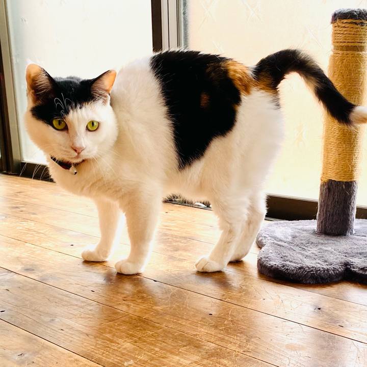 45146449 d7e9 4ff5 92e3 29b40cd89835 1685882236720