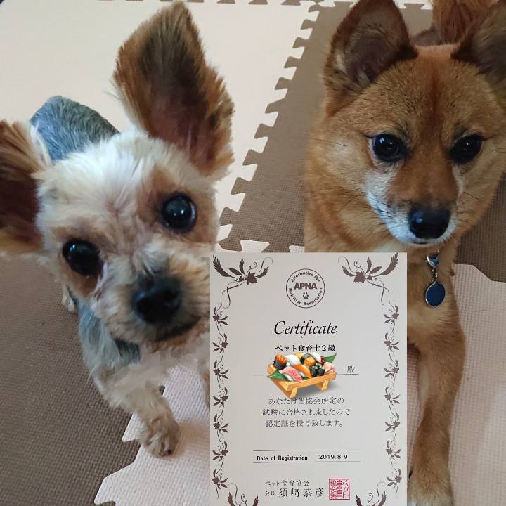 4514b465 a9e9 49ee a2c4 972e71e37892 1565490401798