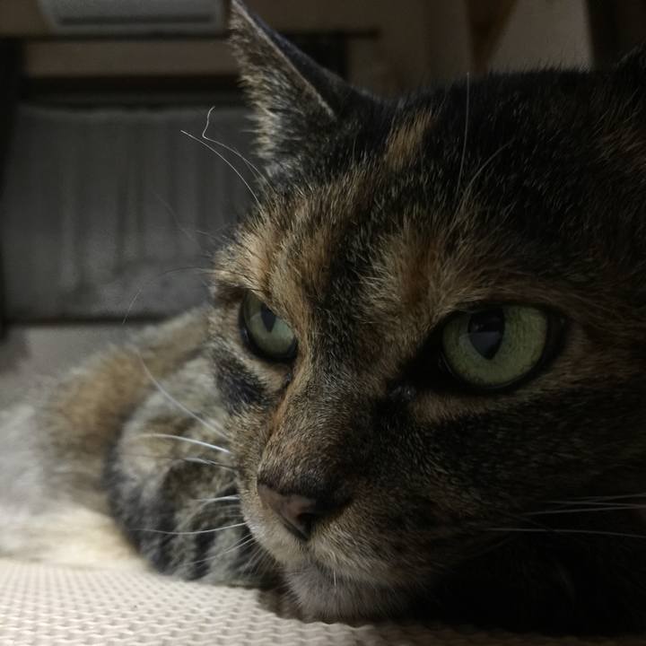 4514e427 394f 475b 9632 1454ab75227b 1522155745409