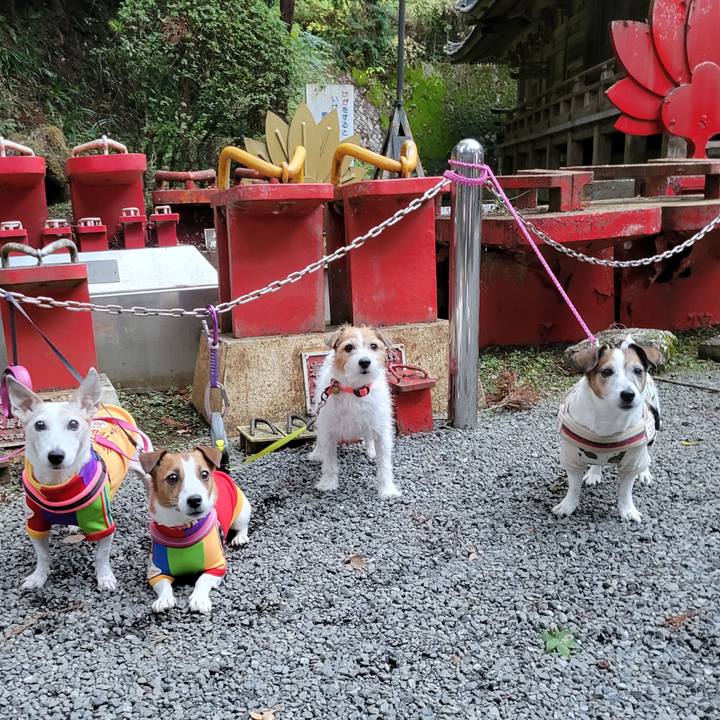 4514ef09 6fe6 4cc7 888d e8c43276394a 1700348983183