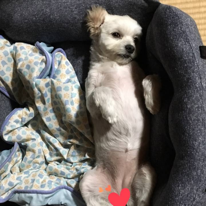 451508ce 1117 4222 8a6c 3d866b5083df 1530707338648