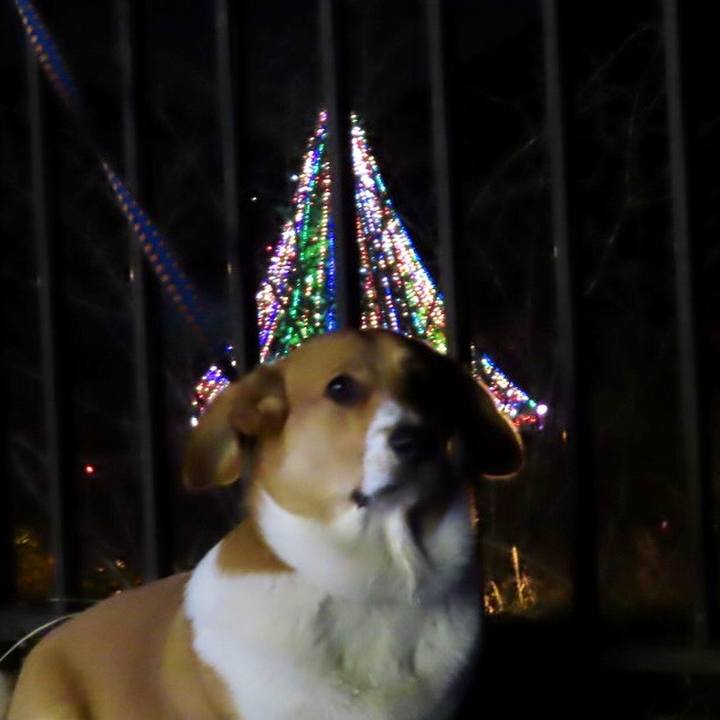 45150932 b18e 4e51 b01e 7c67c3b6a2df 1638628018067