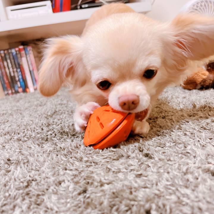 45152a91 ef25 4d29 ad26 c1727dbe2063 1657615190018