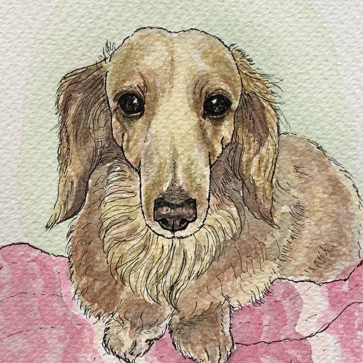 451539ce 6391 4ef6 8755 789894e2dd46 1583138443655