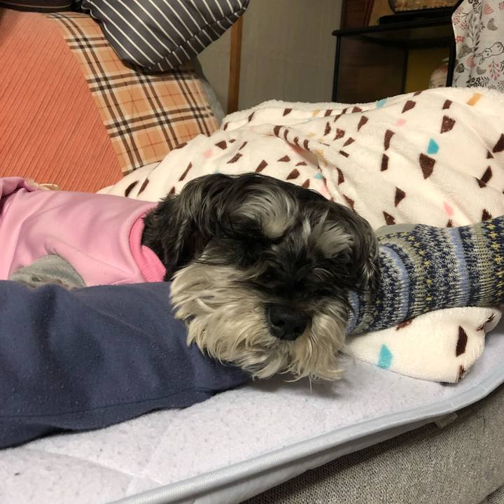 45154e92 531f 414c 8c4f b6405ca265cd 1681394133749